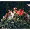 Christrose rot, 21 cm Topf