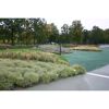 Verschiedene Gräserarten in Beeten eines Parks