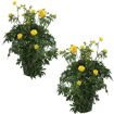 hauptbild