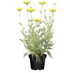 hauptbild