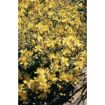 hauptbild