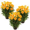 hauptbild