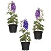 hauptbild