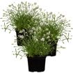 hauptbild