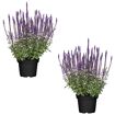 hauptbild