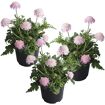 hauptbild