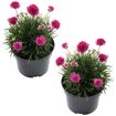 hauptbild