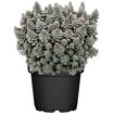 hauptbild