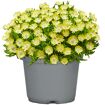 hauptbild