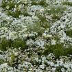 hauptbild