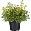 hauptbild