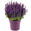 hauptbild