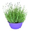 hauptbild