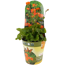 Stauden-Mix nützlingsfreundlich 13 cm Topf