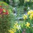 Bunte Ufer-Wasserpflanzen am Teich