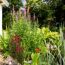 Garten mit Teich und blühenden Pflanzen