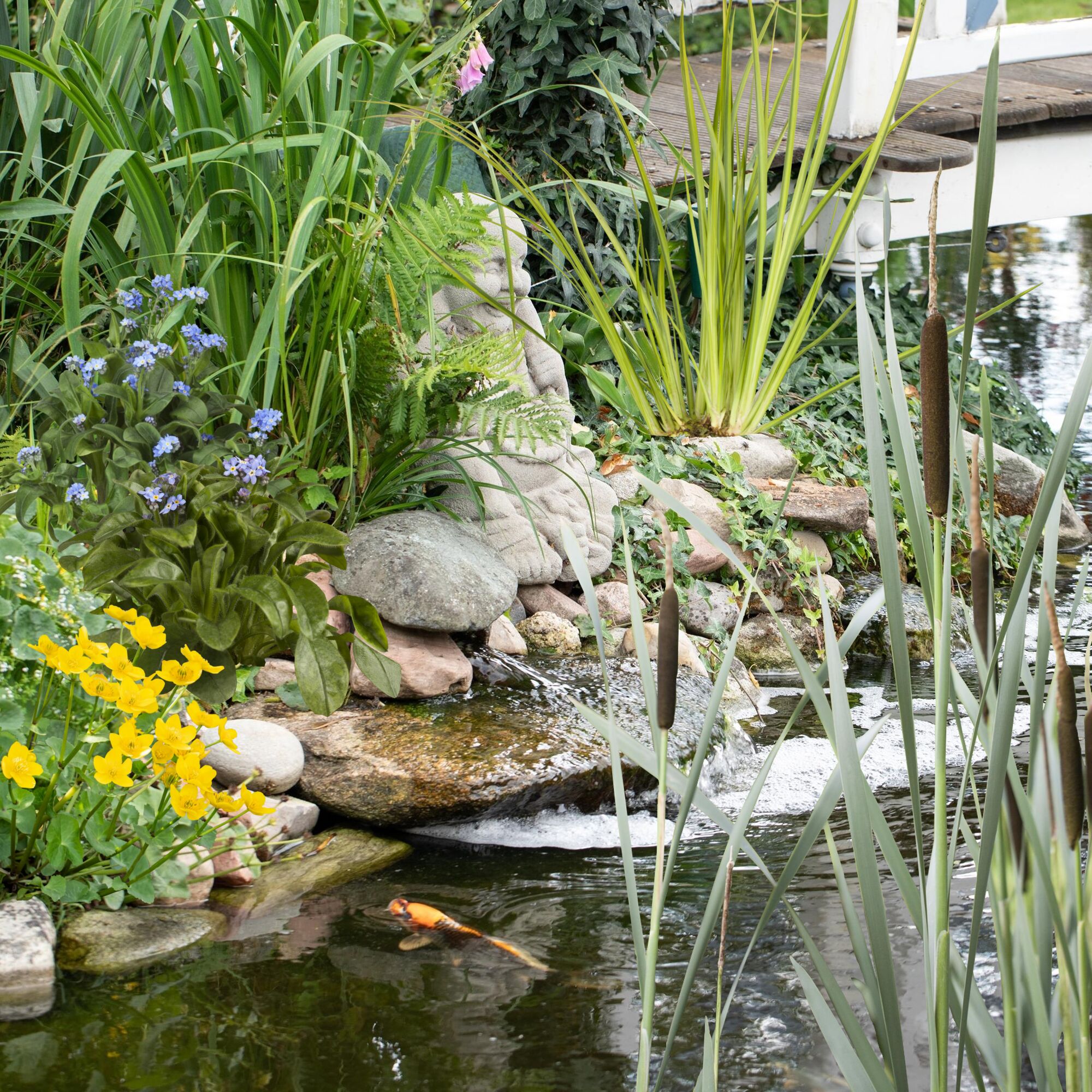 Gartenteich mit Goldfisch und Buddha-Statue