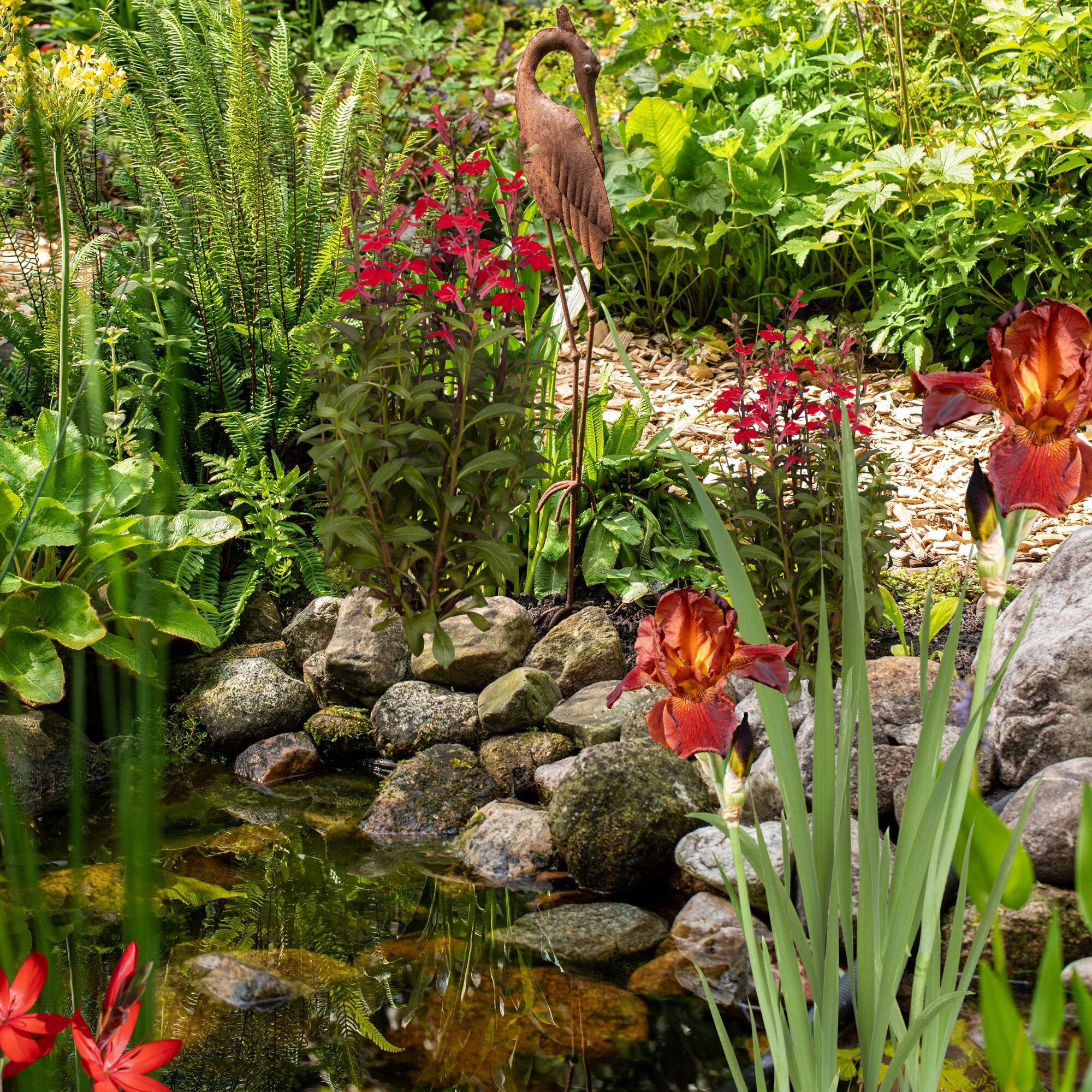 Gartenteich mit Iris, Farn und Metallreiher