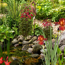 Verkleinertes Bild von Wasserpflanzen-Mix 'Rote Blüten' 6er-Set