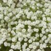 hauptbild