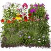 hauptbild