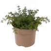 hauptbild