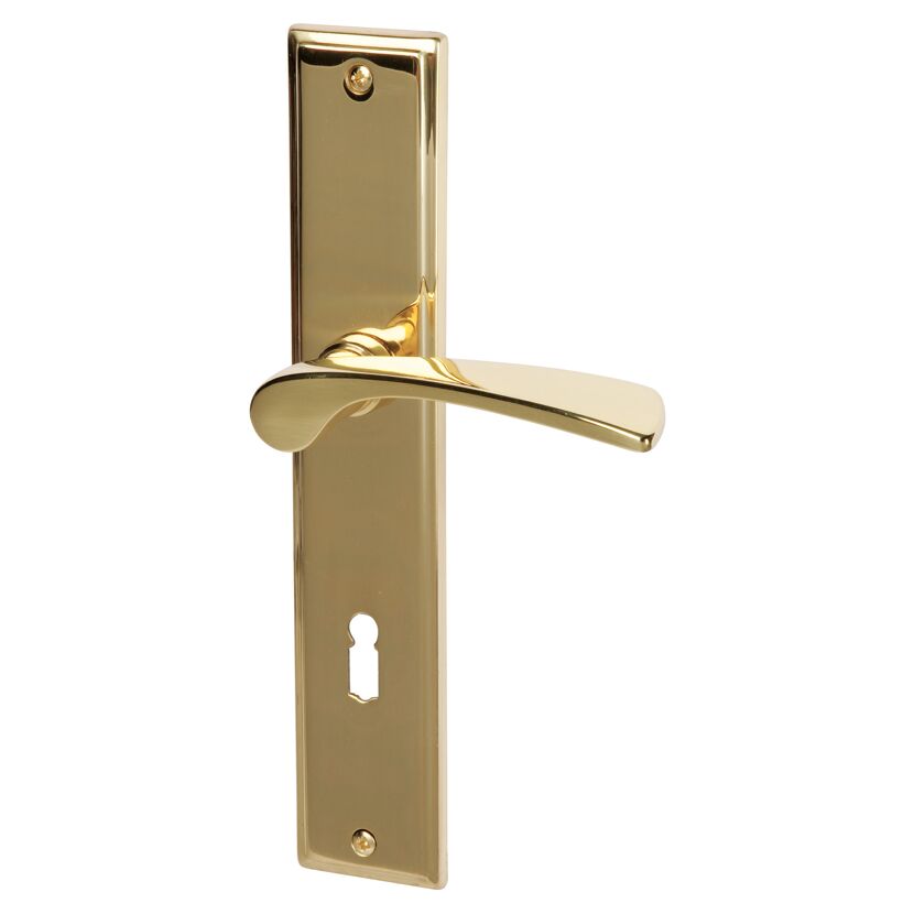Goldene Türklinke mit Langschild und Schlüsselloch.