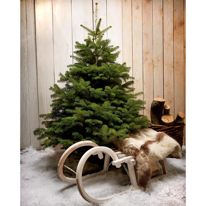 Fair Trees® BioWeihnachtsbaum Nordmanntanne gesägt 180220 cm