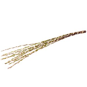 Schnittgrün-Handbund Weidenkätzchen 80 cm