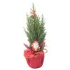 Konifere in Jute mit Weihnachtsstecker 9 cm Topf