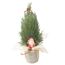 Konifere in Jute mit Weihnachtsstecker 9 cm Topf