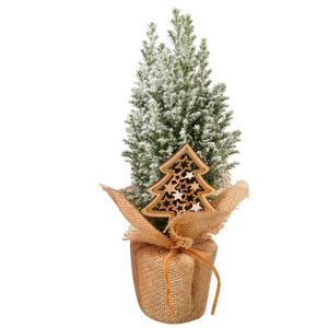 Konifere in Jute mit Tannenstecker 9 cm Topf