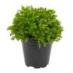 hauptbild