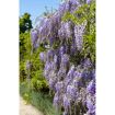 hauptbild