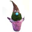 hauptbild