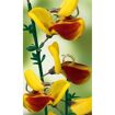 hauptbild