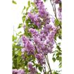 hauptbild