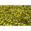 hauptbild