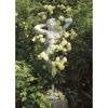 Kletterrosen 'Elfe', 21 cm Topf dreigestäbt