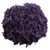 Hortensie 'Music Collection Deep Purple Dance®', Topf Ø 23 cm
