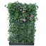 Hecke am laufenden Meter® Efeu 'Woerneri'/Clematis rosa 180 x 120 cm