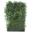 Hecke am laufenden Meter® Efeu 'Woerneri'/Clematis weiß 180 x 120 cm