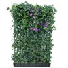 Efeu Hecke mit violetten Blüten im braunen Kasten