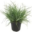 hauptbild
