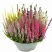 hauptbild