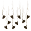 Verkleinertes Bild von Vogelbeere wurzelnackt 80-120 cm, 10er-Bund