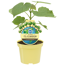 Verkleinertes Bild von Bio-CO2-Klimabaum Kiri-Baum 'Nordmax21'® 15 cm Topf