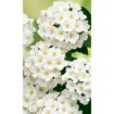 hauptbild