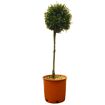 hauptbild