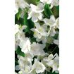 hauptbild